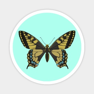 A common yellow swallowtail vector illustration Magnet